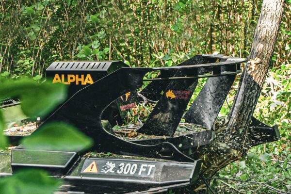 ALPHA cutting through trees