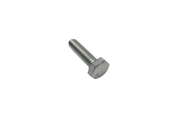 30055